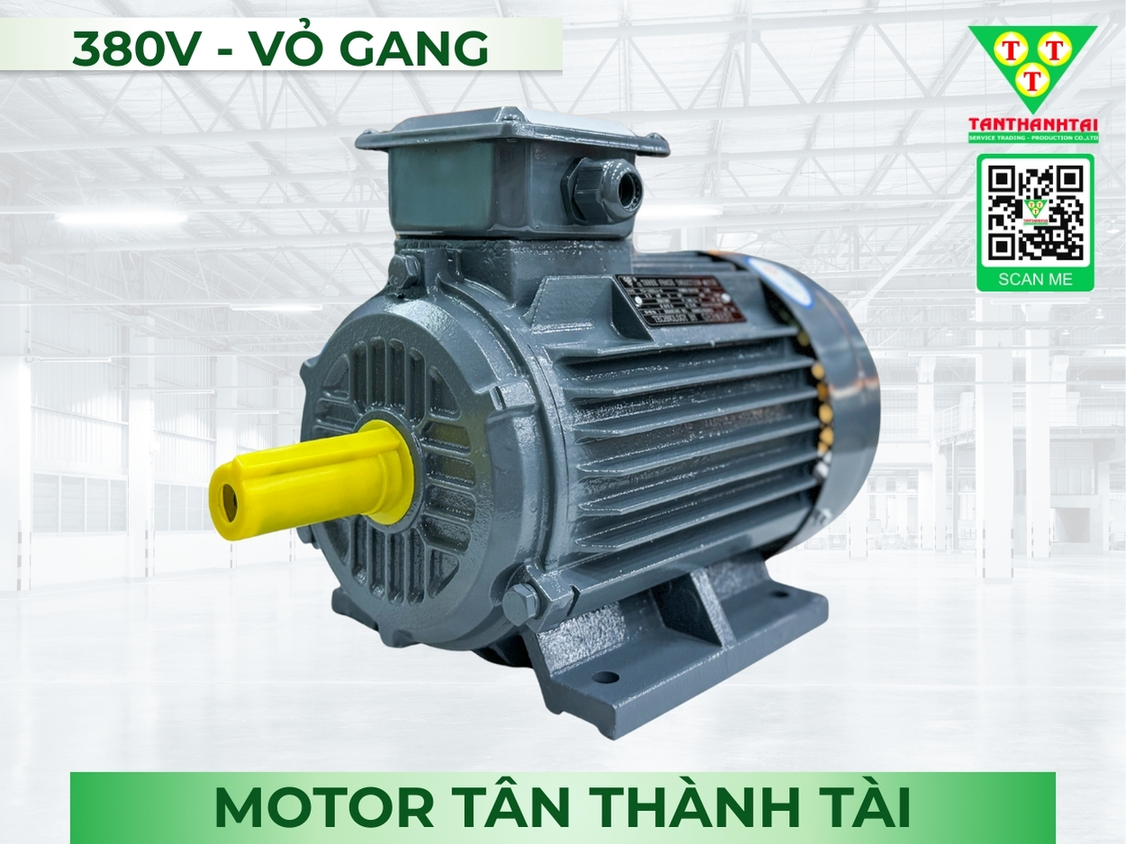 Motor điện 37kW -  50HP